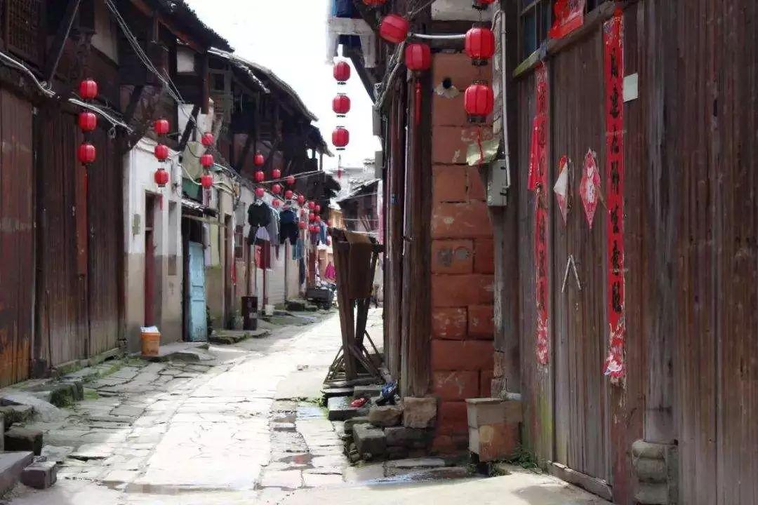 健美大赛
